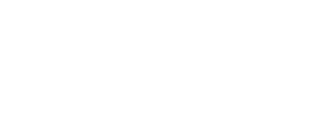PeopleSense
